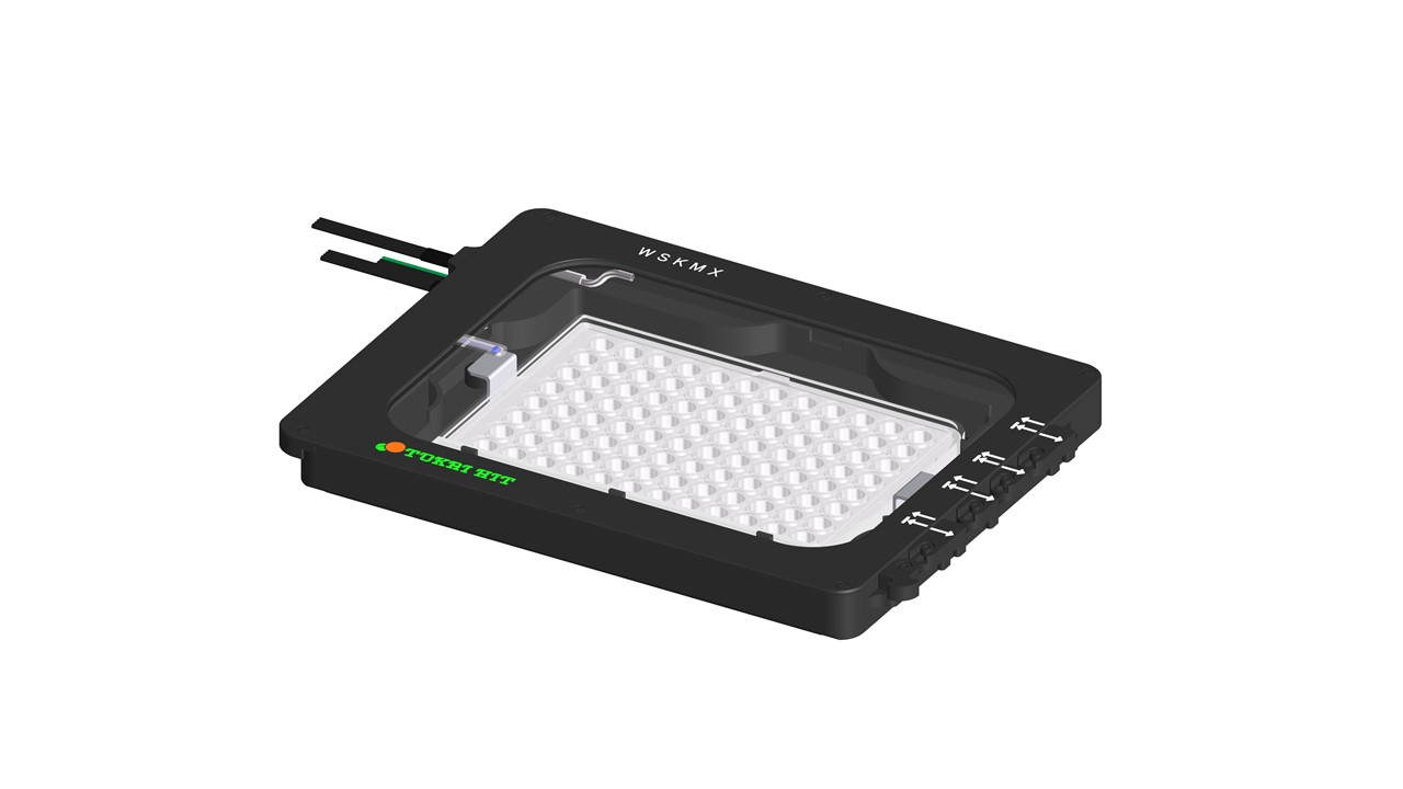 ストーク LT10 スタジオマスター STORK Tekno RC SCT410 2.0 Competition 1/10 Electric 4WD Short